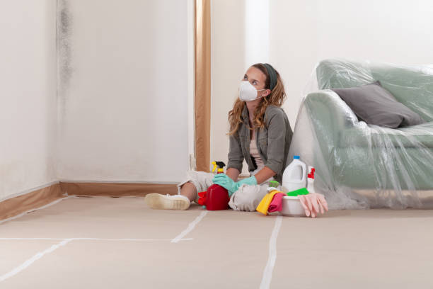 Reliable Mold Cleanup contractor in Frostburg, MD by WQB Mold Removal